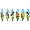 19 in. Pop-Open Hot Air Balloon - Southwest Birds