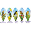 19 in. Pop-Open Hot Air Balloon - Southwest Birds