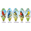 19 in. Pop-Open Hot Air Balloon - Northeast Birds