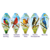 19 in. Pop-Open Hot Air Balloon - Southeast Birds