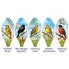 19 in. Pop-Open Hot Air Balloon - Great Plains Birds
