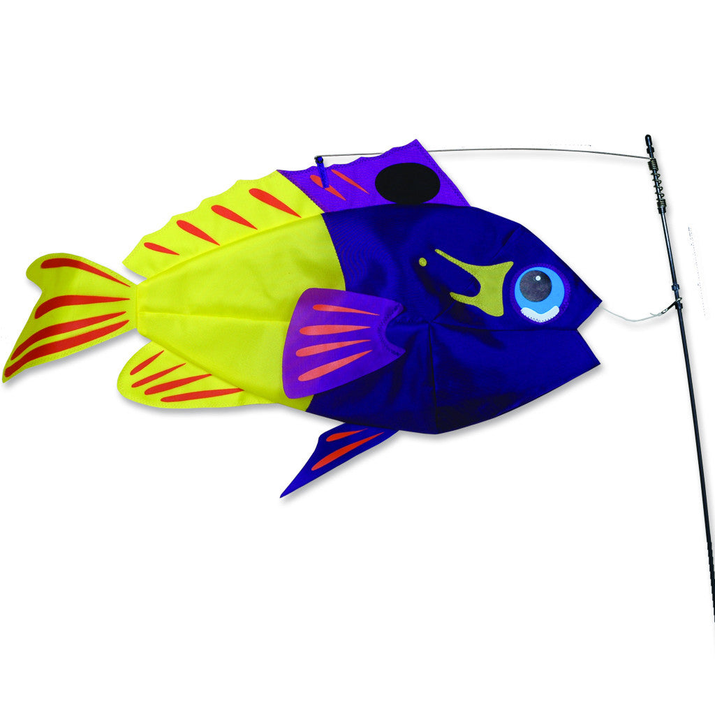 Swimming Fish - Fairy Basslet