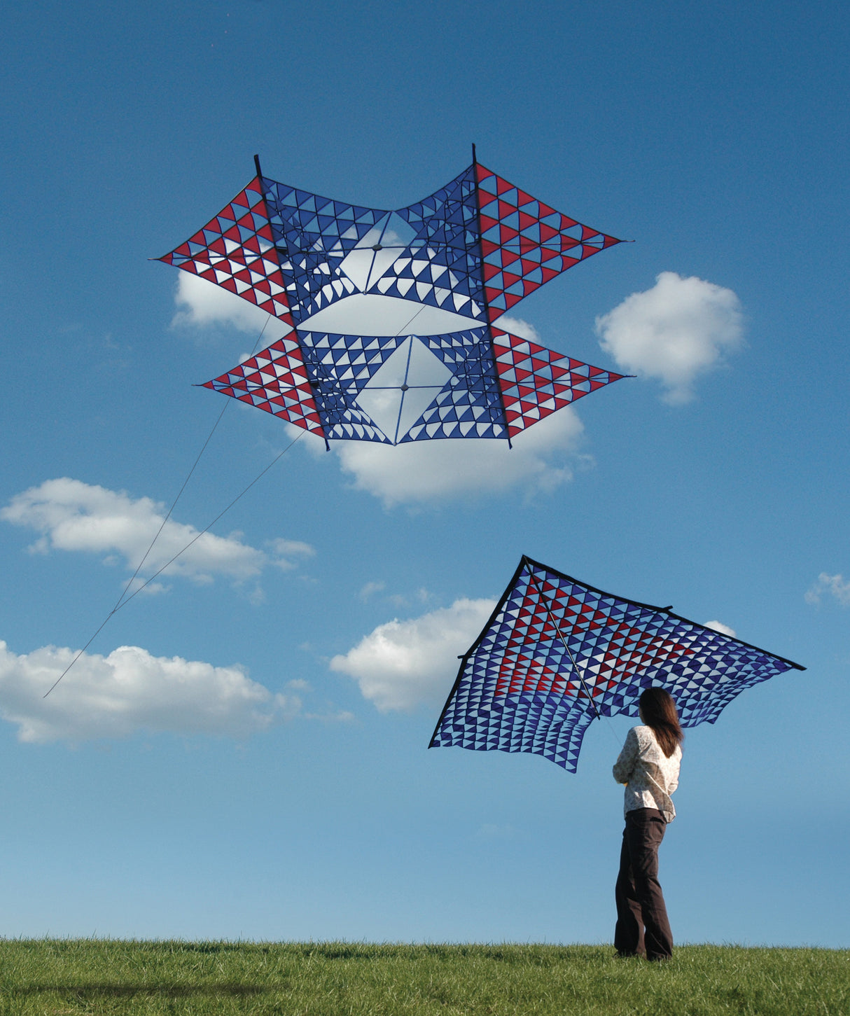 Tri-Mesh Delta Kite