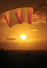 Jumbo Power Sled 36 Kite - Mango