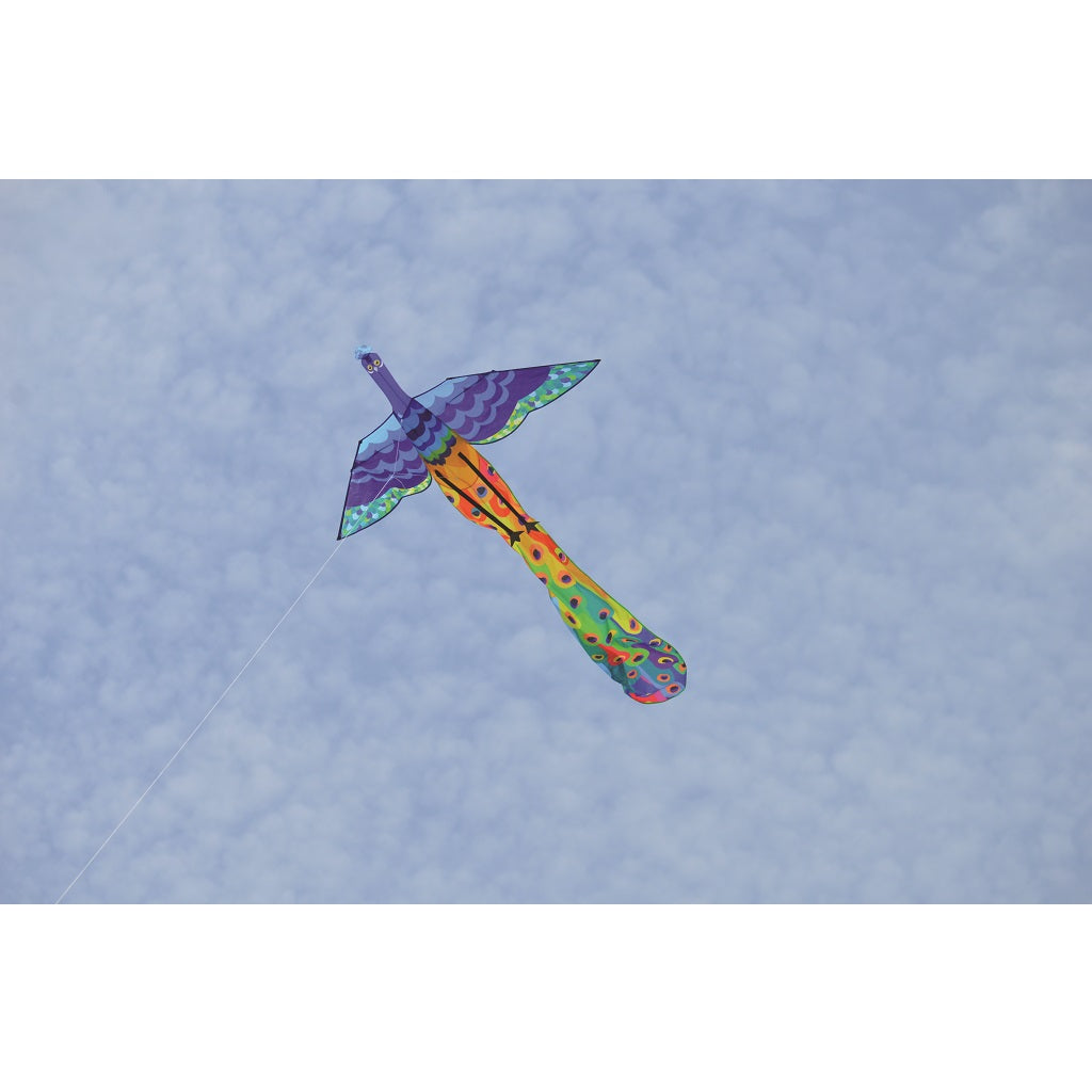 3-D Peacock Kite (Bold Innovations)