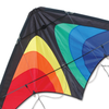 Osprey Sport Kite - Rainbow Raptor