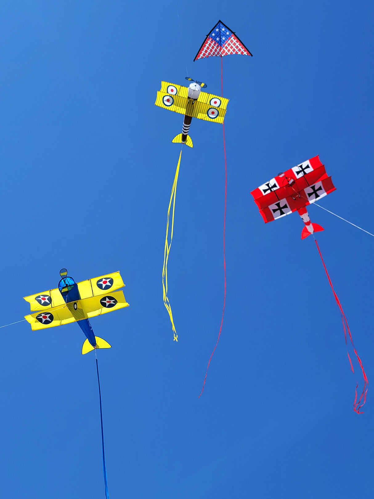 Giant Sopwith Camel Biplane Kite
