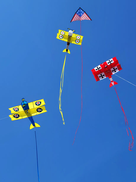 Giant Stearman Bi-Plane Kite