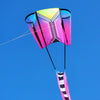 Aero Tech Power Sled 10 Kite - Purple Plum