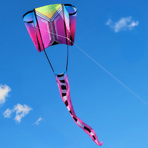 Aero Tech Power Sled 10 Kite - Purple Plum