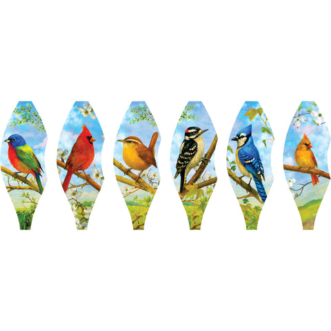 19 in. Pop-Open Hot Air Balloon - Southeast Birds