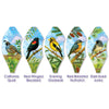 19 in. Pop-Open Hot Air Balloon - Northwest Birds