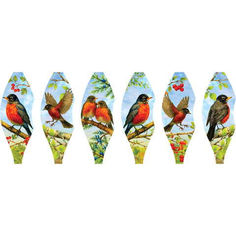 19 in. Pop-Open Hot Air Balloon - American Robin