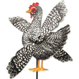 12 in. WhirliGig Spinner - Chicken