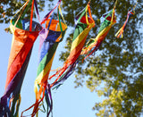 24 in. Spinsock - Rainbow