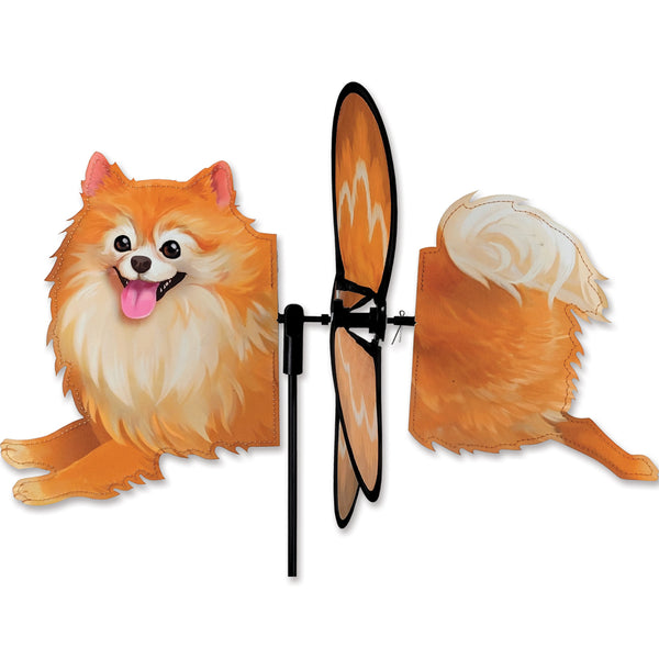 Petite Spinner -  Pomeranian