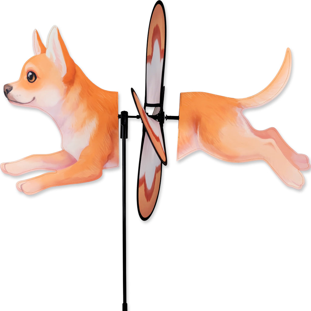 Petite Spinner - Chihuahua