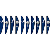 22 in. Hot Air Balloon - Palmetto