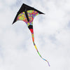 T-Delta Kite - Rainbow Orbit