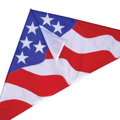 56 in. Delta Kite - Patriotic