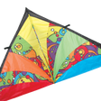 9 ft. Delta Kite - Rainbow Orbit
