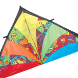 9 ft. Delta Kite - Rainbow Orbit