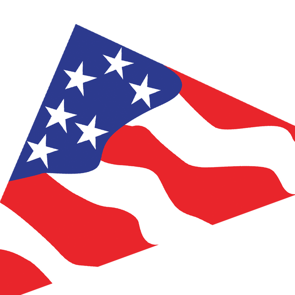 11 ft. Delta Kite - Patriotic