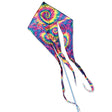 46 in. Flo-Train Delta Kite - Neon Tie Dye