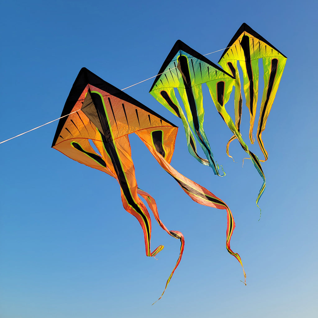 Shock Flo-Train Delta Three Kite Train