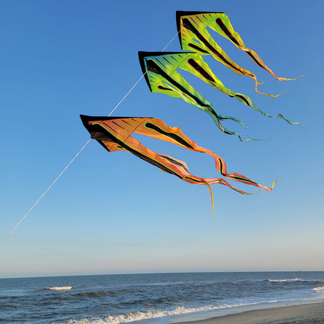 Shock Train Flo-Train Delta Three Kite Train