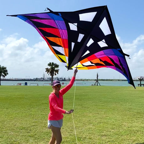 Sweet 16 Delta Kite - Sunset Check