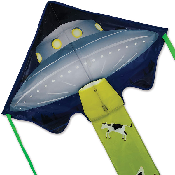 Large Easy Flyer Kite - UFO