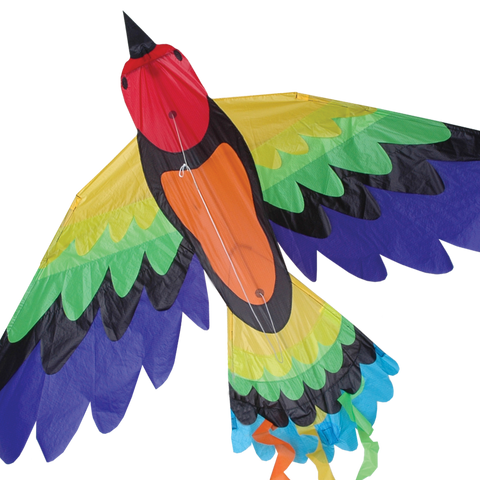 Rainbow Bird Kite
