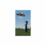Bald Eagle Kite