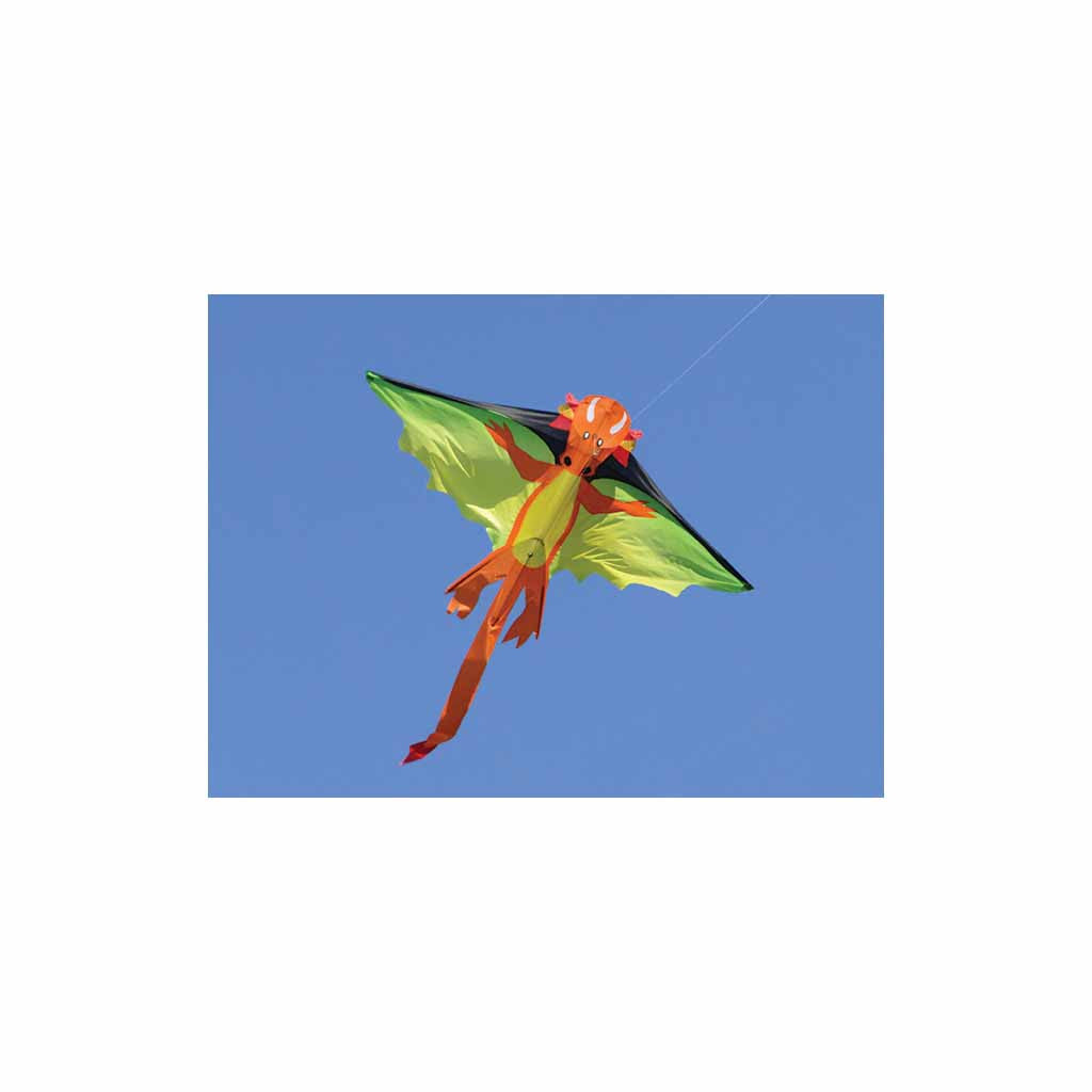Flying Dragon Kite