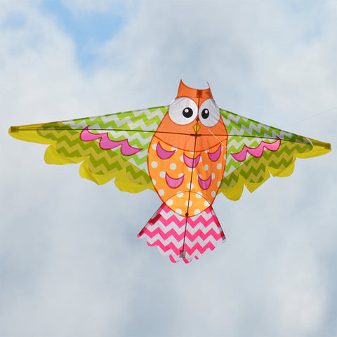 Rainbow Owl Kite
