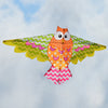 Rainbow Owl Kite