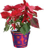 Flower Pot Cover - Aztec Sunrise