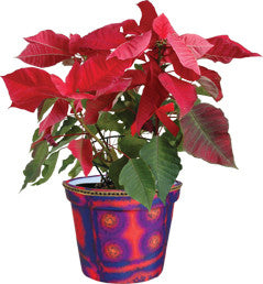 Flower Pot Cover - Aztec Sunrise