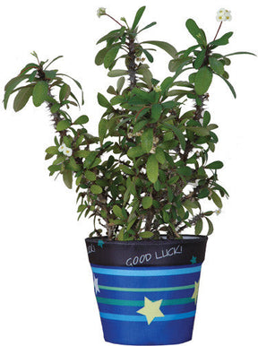 Flower Pot Cover - Good Luck