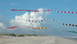3 in. x 50 ft. Transition Tail - Black/White