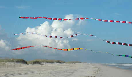 5 in. x 100 ft. Transition Tail - Rainbow