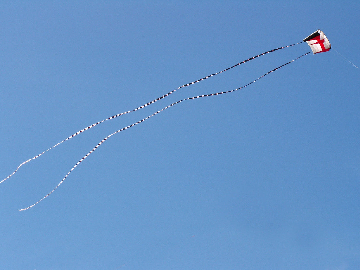 5 in. x 100 ft. Transition Tail - Black/White