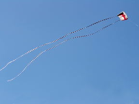5 in. x 100 ft. Transition Tail - Black/White