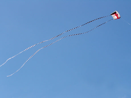 5 in. x 100 ft. Transition Tail - Black/White