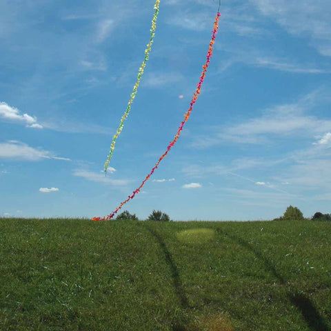 6 in. Fuzzi Tail - Green Gradient