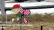 Petite Spinner - Christmas Elf