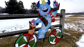 30 in. Bike Spinner - Yeti