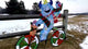 30 in. Bike Spinner - Yeti