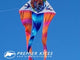6.5 ft. Flo-Tail Delta Kite - Tattoo